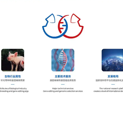 如何巧妙融合不同元素進行Logo設計？